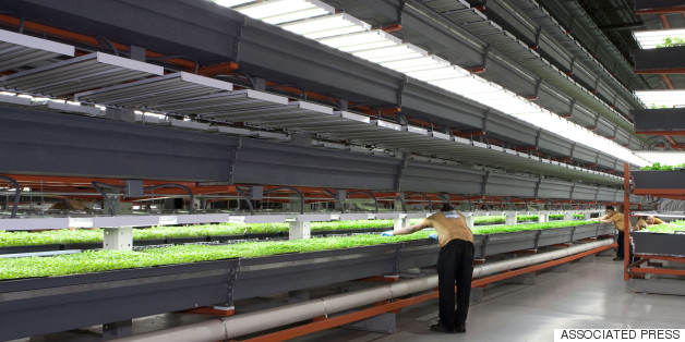 Why Vertical Farming Could Be On The Verge Of A Revolution