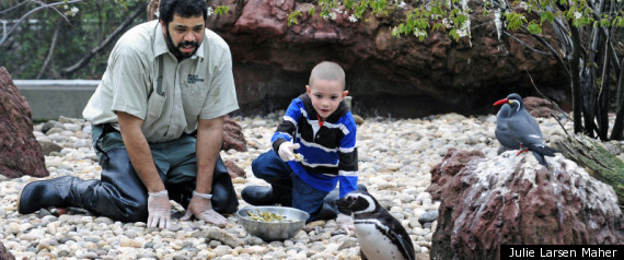 Penguin Fundraiser