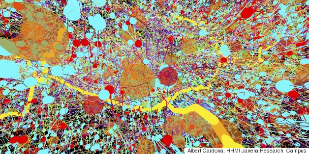 Award-Winning Images Spotlight The Inner Workings Of Our World