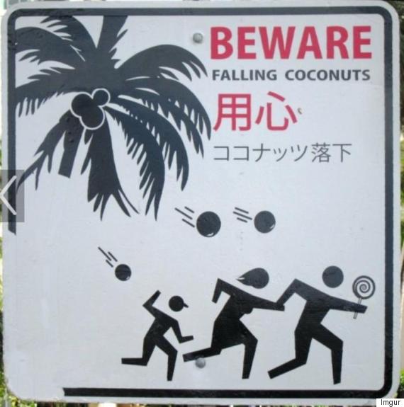 flying coconuts