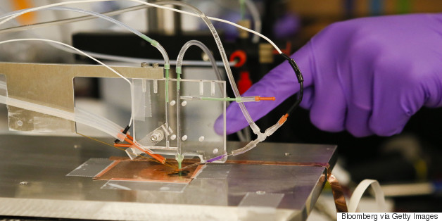 Scientists Want To Create A Man-Made Leaf To Help Renewable Energy