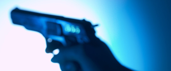 Guns Terror Watch List