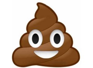 n-POOP-EMOJI-ICE-CREAM-large300.jpg