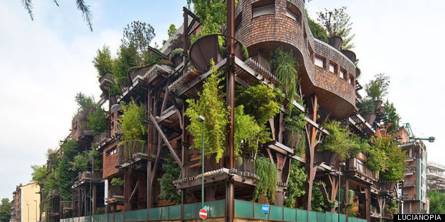 Epic Treehouse Apartments Fulfill Every Childhood Dream