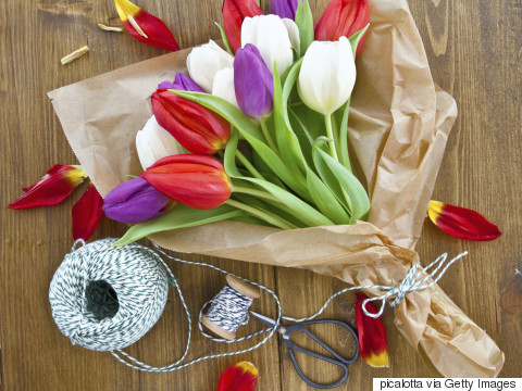 3 Ways You Didn't Realize You're Killing Your Tulips