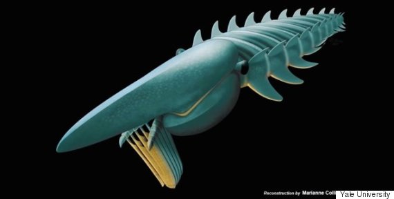 This Prehistoric Sea Creature Was Once The Largest Animal On Earth (GGT:  Science)