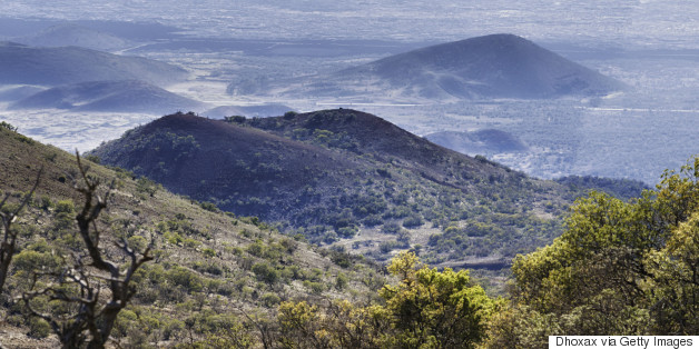 From Polar To Tropical, This One Island Has It All