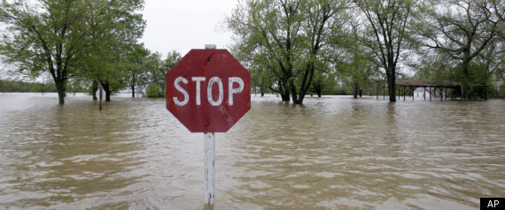 Cairo Flooding