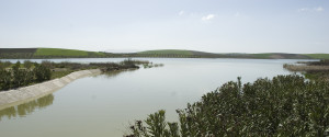 guadalquivir