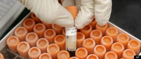 Stem Cell Funding