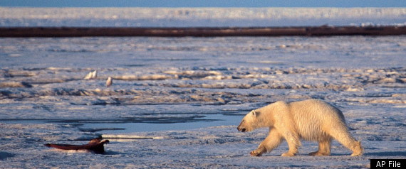 Shell Arctic Drilling Plan