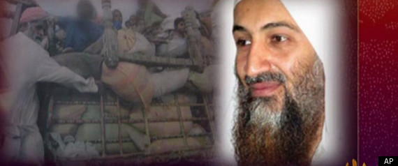 Getting Osama in Laden How. New Osama Bin Laden Tape