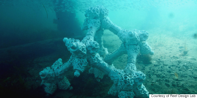 Brilliant Lego-Like Structures Serve As Building Block For Restoring Coral Reefs