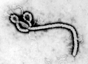 Ebola