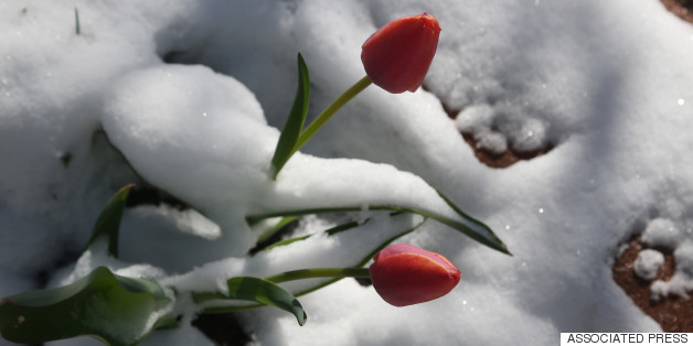 Spring? What Spring?