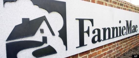 Fannie Mae Loss