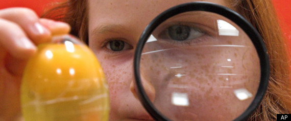 Stem Education