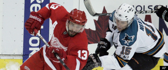 Red Wings Sharks