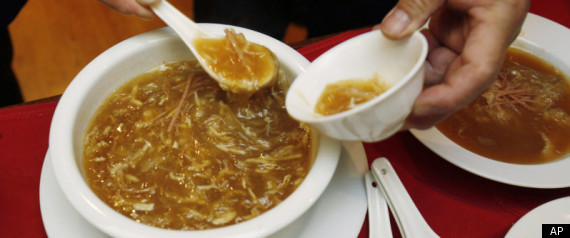 San Francisco Shark Fin