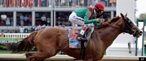 Kentucky Derby winner Animal Kingdom out for an undisclosed period