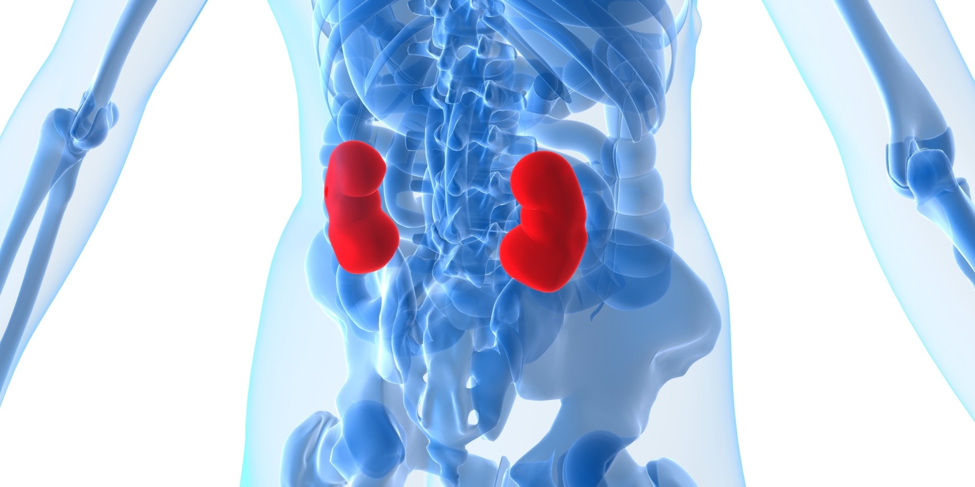 What Everyone Should Know About Kidney Cancer | HuffPost