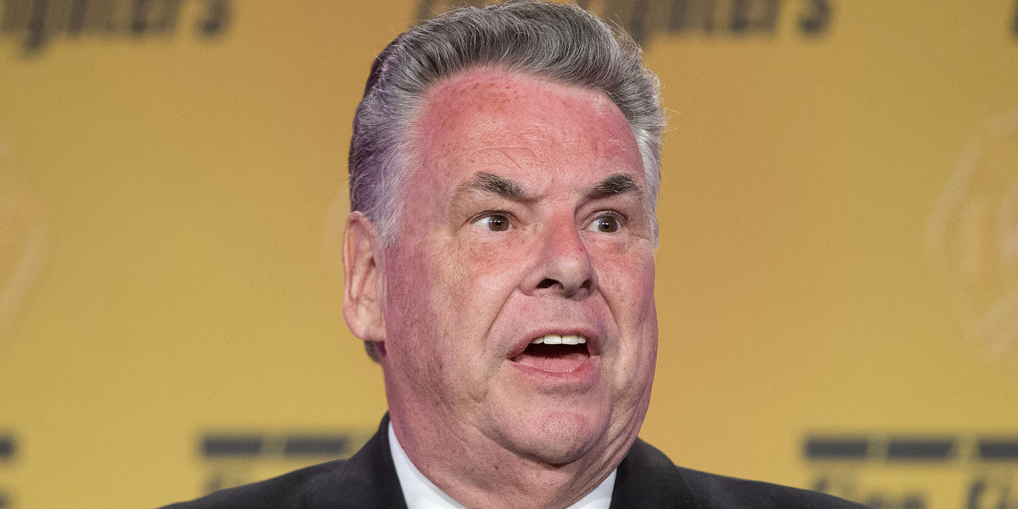 GOP Rep. Peter King Slams Ted Cruz For 'Carnival' Antics | HuffPost