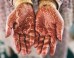 8 Fun Facts About Wedding Traditions Around The World