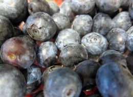 Blueberry Surprise Vanilla Cream Pots