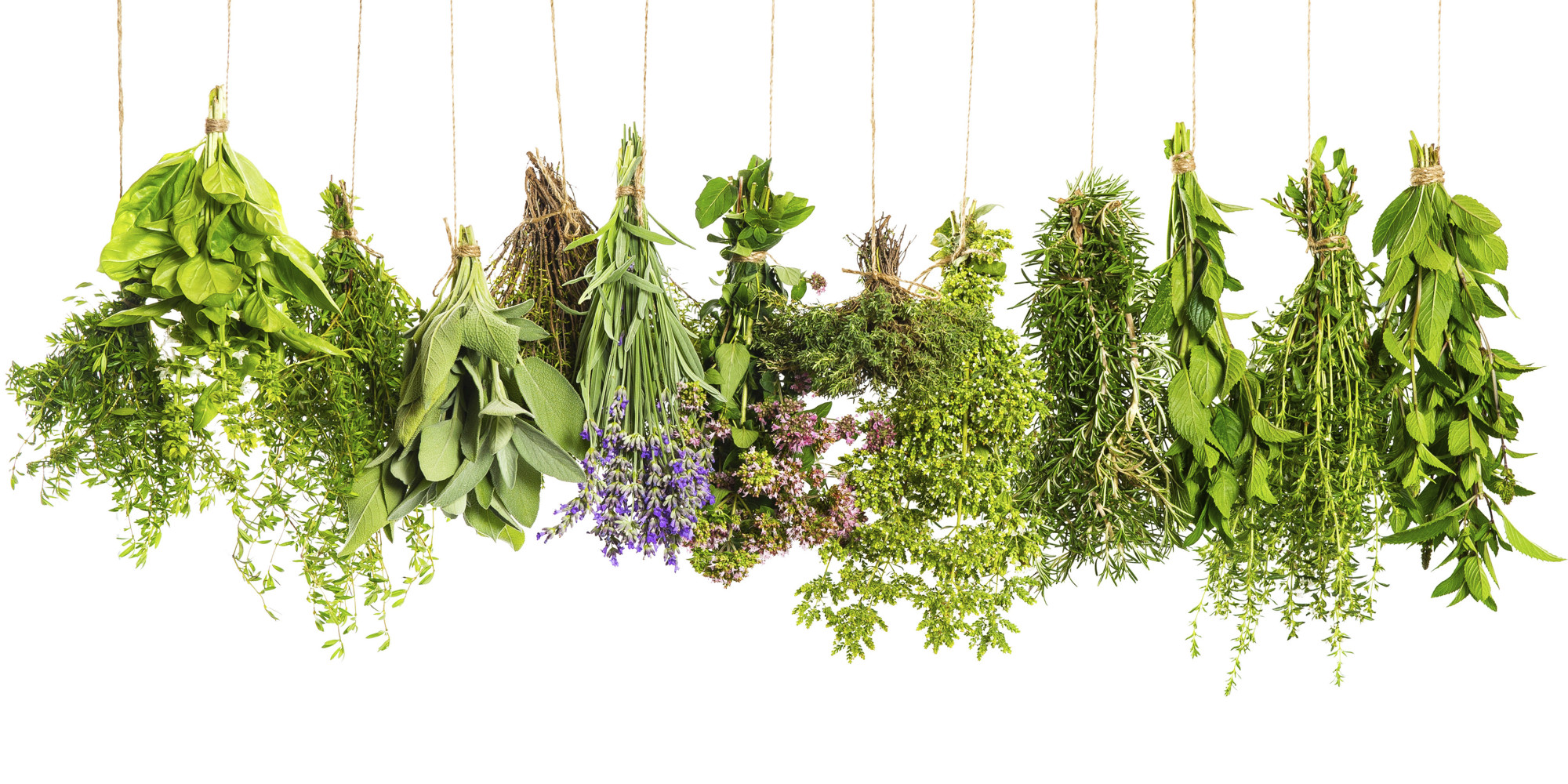 A Visual Guide To Cooking With Herbs HuffPost