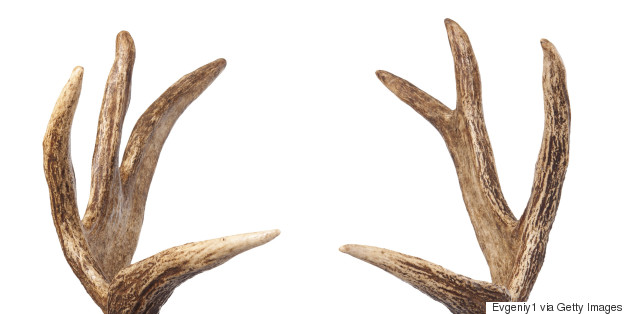 11 Weird Things You Never Knew You Could Bring On A Plane