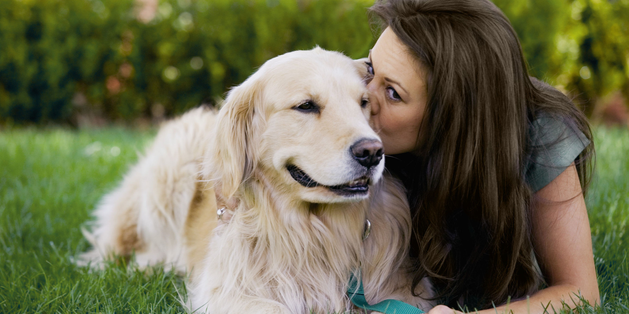 9 Ways Your Dog Knows You Better Than Anyone Else HuffPost