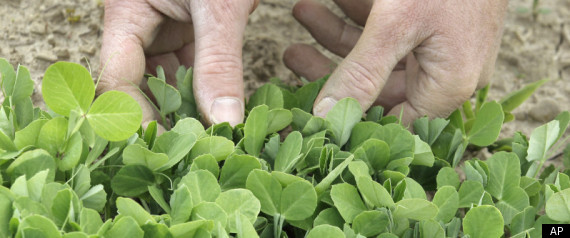 Farm Bill 2012