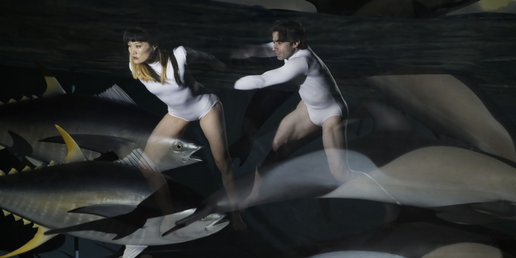 This Dance Project Is Out To Prove Climate Change Is An Issue We Can't Ignore - Huffington Post