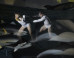 This Is What Happens When A Dancer And A Biologist Team Up To Tackle Climate Change