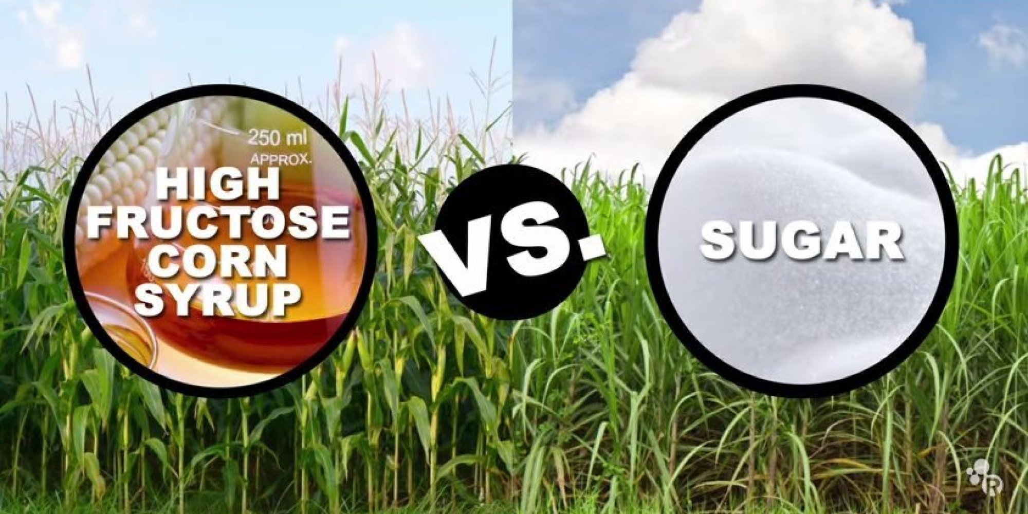 what-s-the-difference-between-sugar-and-high-fructose-corn-syrup