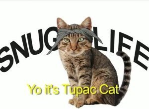 Tupac Cat
