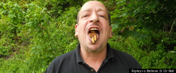 Human Ashtray