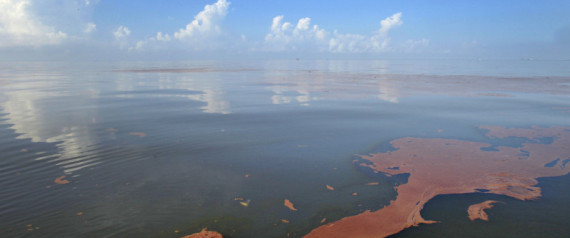 Bp Gulf Settlement