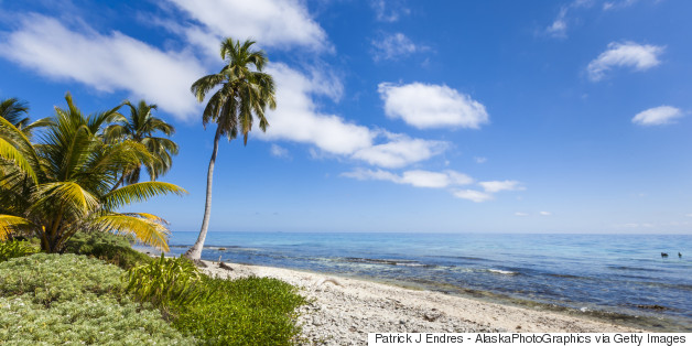 Leonardo DiCaprio To Open A Private Island Resort