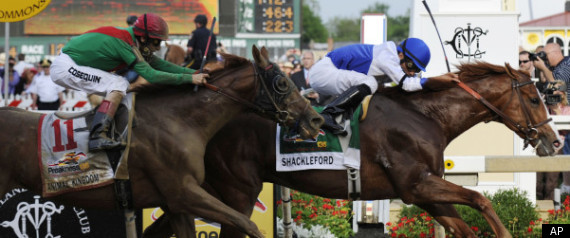 preakness stakes. Shackleford Preakness Stakes