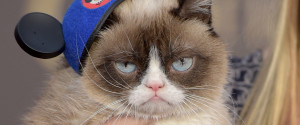 GRUMPY CAT