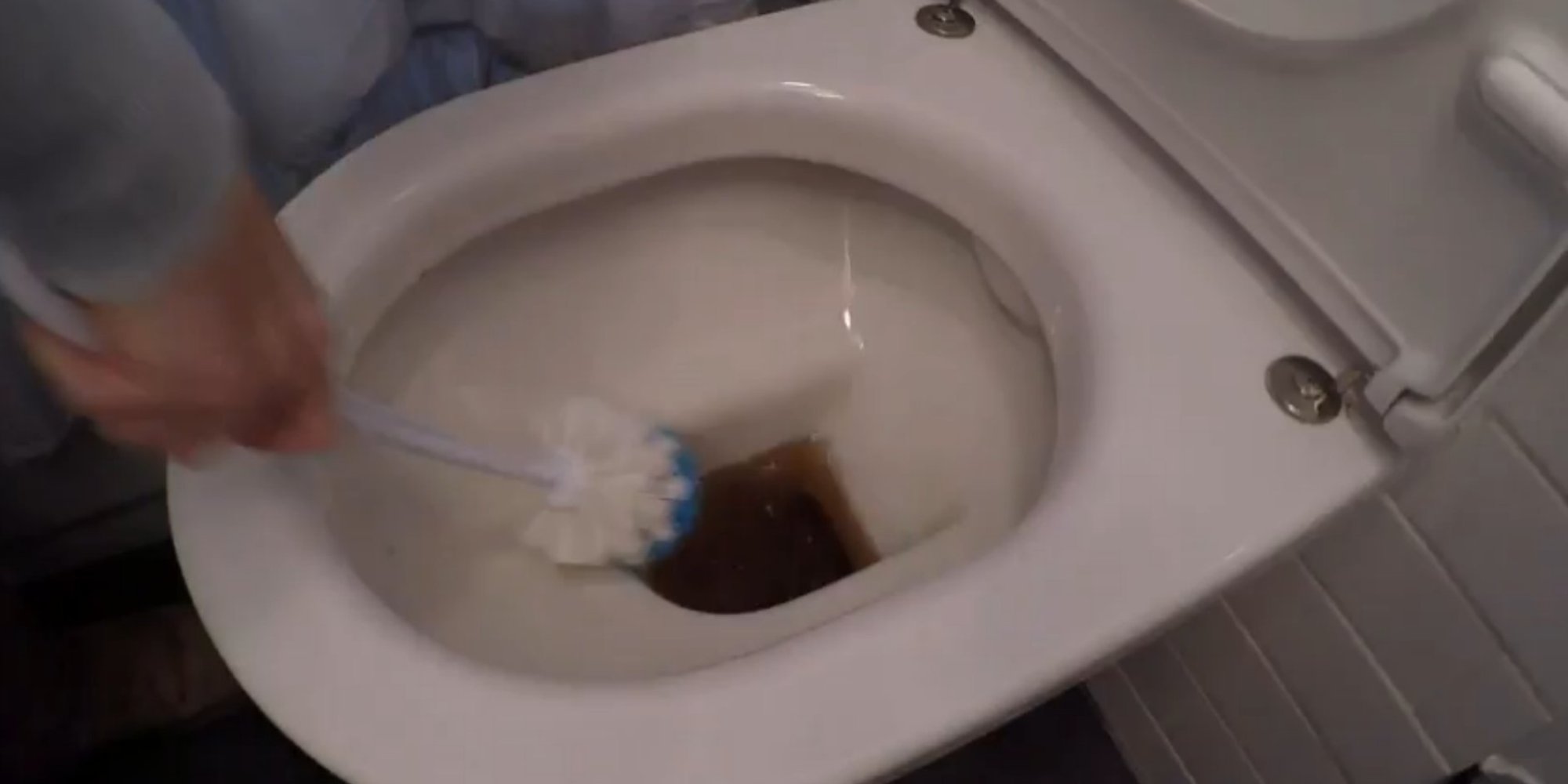 Life Hack Run Out Of Bleach? Here's How To Clean Your Toilet Using