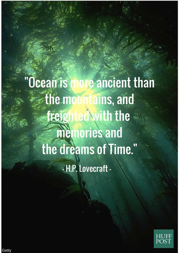 11 Quotes About The Ocean That Remind Us To Protect It | HuffPost