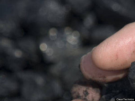 Coal