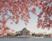 Say Hello to Spring with 35 Beautiful Photos of Cherry Blossoms from Around the World