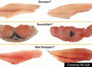 Seafood Fraud