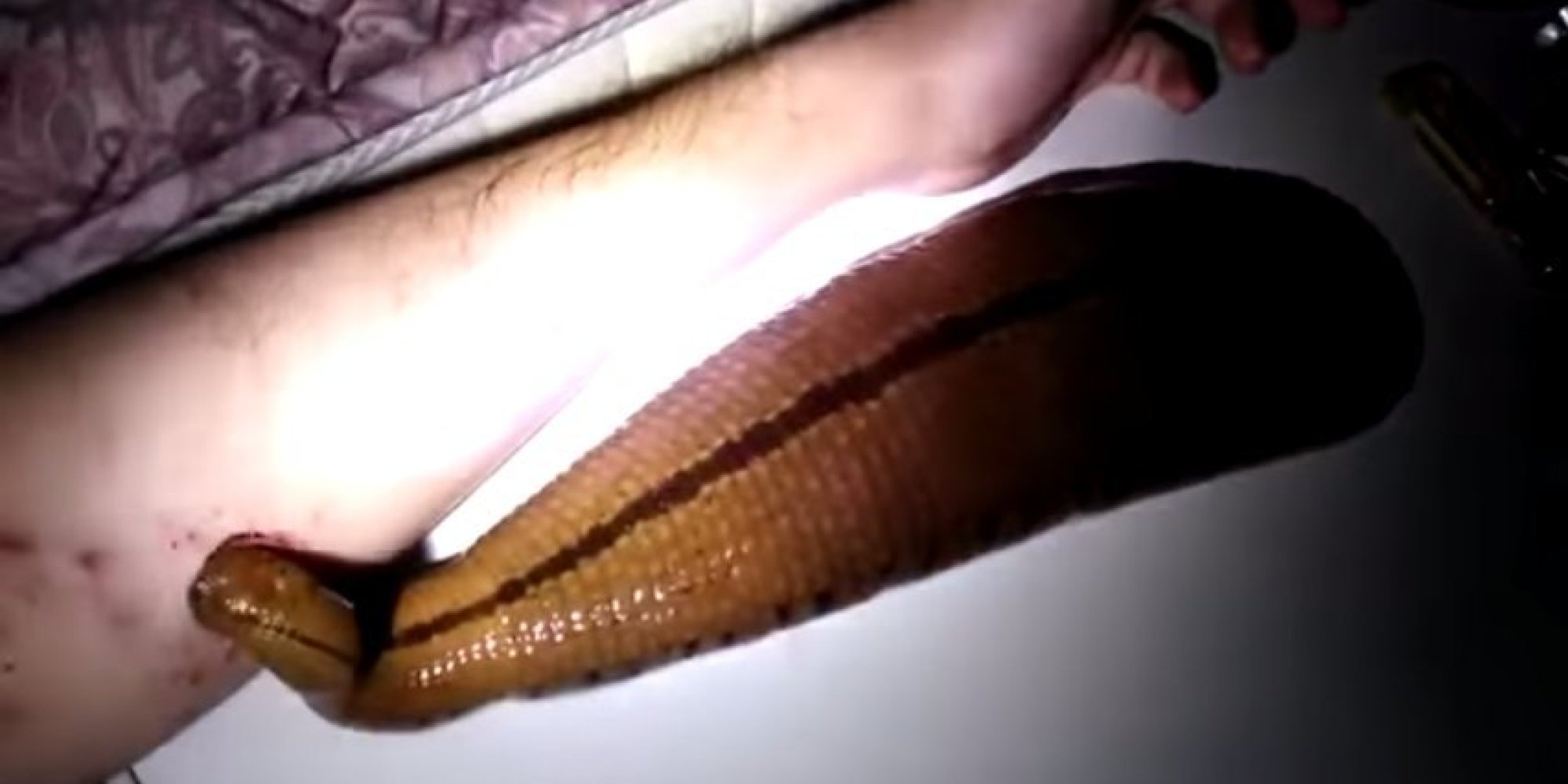 prostituée du maroc