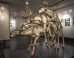New York's Museum Of Sex Mounts Very Explicit Exhibits (NSFW)
