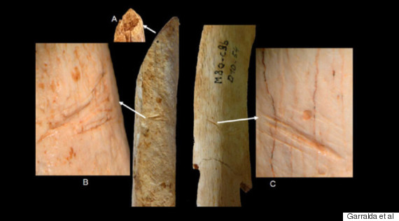 neanderthal bones