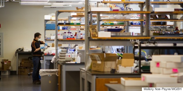 Amid Calls To Divest, Some Universities Focus On Making Research Labs More Efficient